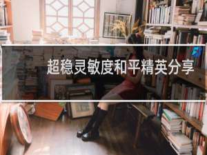 超稳灵敏度和平精英分享码最新