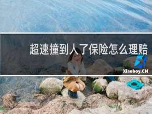 超速撞到人了保险怎么理赔