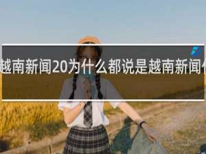 越南新闻 为什么都说是越南新闻什么梗