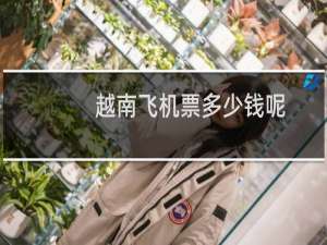 越南飞机票多少钱呢