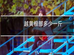 越黄根部多少一斤