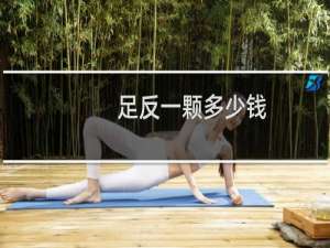 足反一颗多少钱