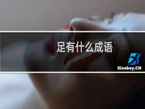 足有什么成语