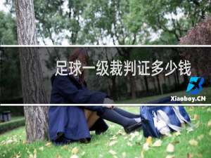 足球一级裁判证多少钱