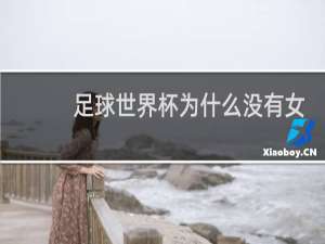 足球世界杯为什么没有女队