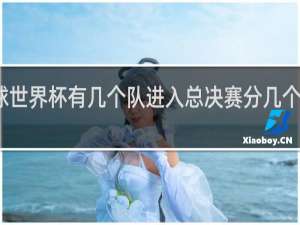 足球世界杯有几个队进入总决赛分几个阶段进行