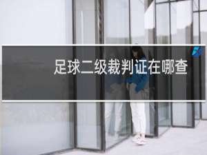足球二级裁判证在哪查