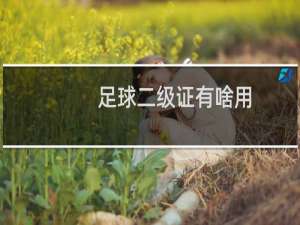 足球二级证有啥用