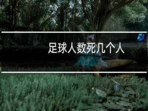 足球人数死几个人