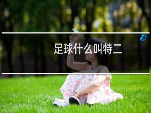 足球什么叫特二