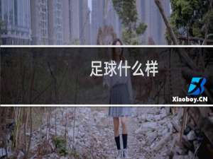 足球什么样