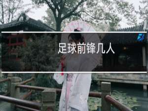 足球前锋几人