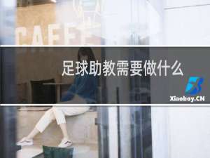 足球助教需要做什么