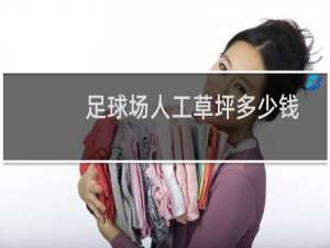 足球场人工草坪多少钱