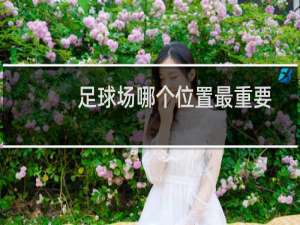 足球场哪个位置最重要