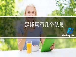 足球场有几个队员