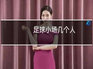 足球小场几个人