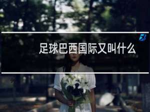 足球巴西国际又叫什么