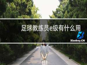 足球教练员e级有什么用