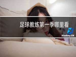 足球教练第一季哪里看