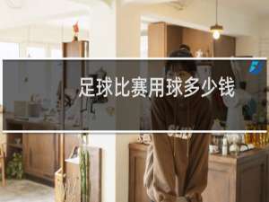 足球比赛用球多少钱