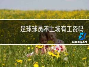 足球球员不上场有工资吗