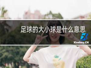 足球的大小球是什么意思