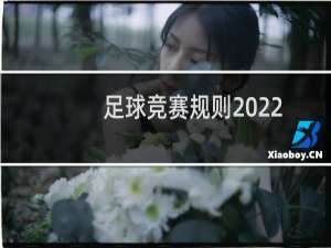 足球竞赛规则2022