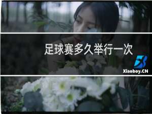 足球赛多久举行一次