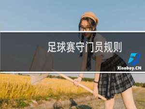 足球赛守门员规则