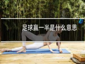 足球赢一半是什么意思