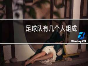 足球队有几个人组成