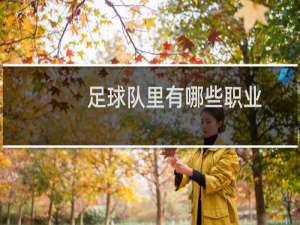 足球队里有哪些职业