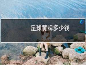 足球黄牌多少钱