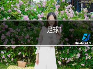 足球1/1.5什么意思