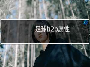 足球b2b属性