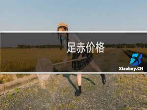 足赤价格