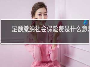 足额缴纳社会保险费是什么意思