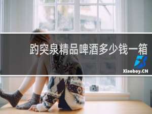趵突泉精品啤酒多少钱一箱
