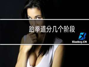 跆拳道分几个阶段