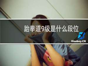 跆拳道9级是什么段位