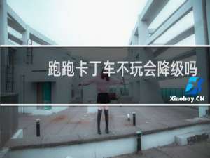 跑跑卡丁车不玩会降级吗