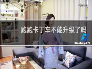 跑跑卡丁车不能升级了吗