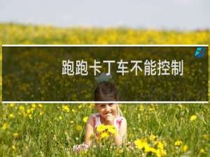 跑跑卡丁车不能控制