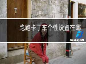 跑跑卡丁车个性设置在哪