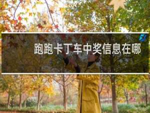 跑跑卡丁车中奖信息在哪
