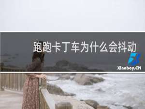 跑跑卡丁车为什么会抖动