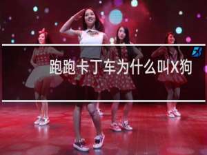 跑跑卡丁车为什么叫X狗