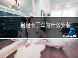 跑跑卡丁车为什么安装