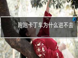 跑跑卡丁车为什么进不去